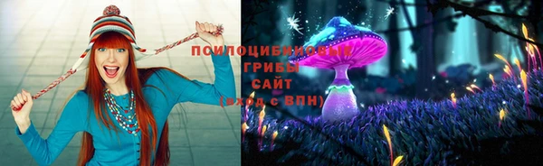 крисы Алексин