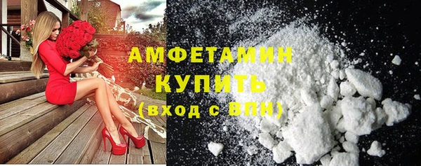 стаф Алзамай