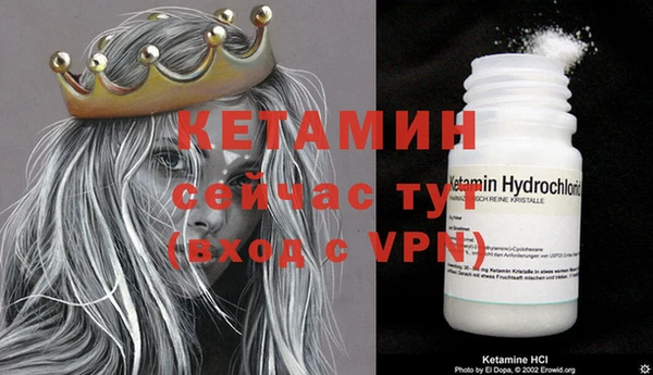 крисы Алексин