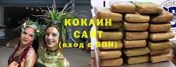 стаф Алзамай