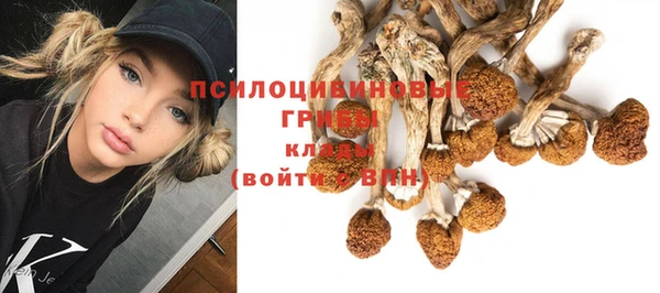 стаф Алексеевка