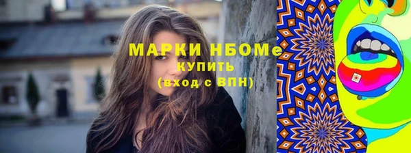 стаф Алзамай