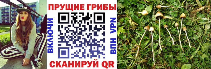 Галлюциногенные грибы прущие грибы  Лукоянов 